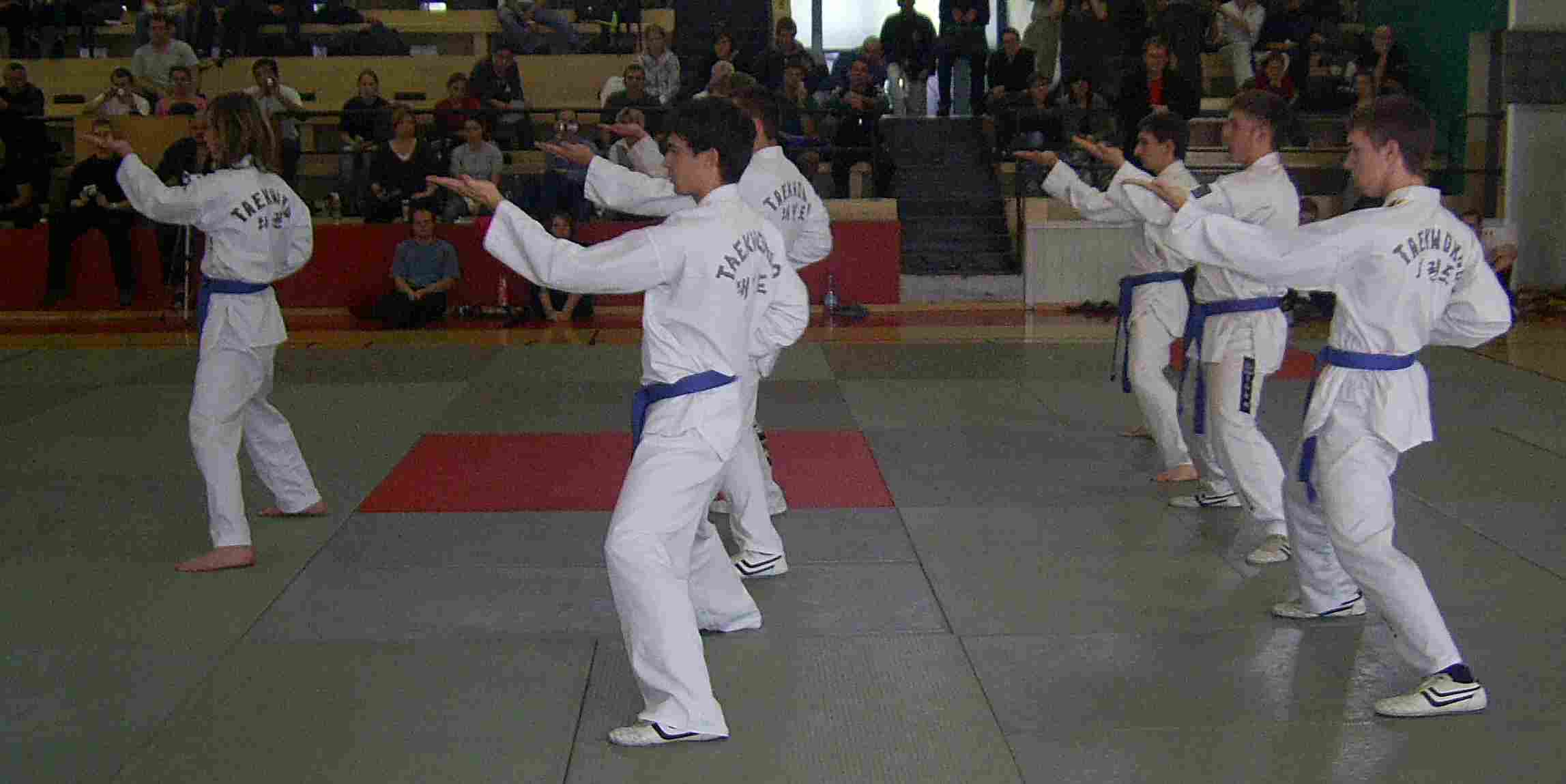 taekwondo